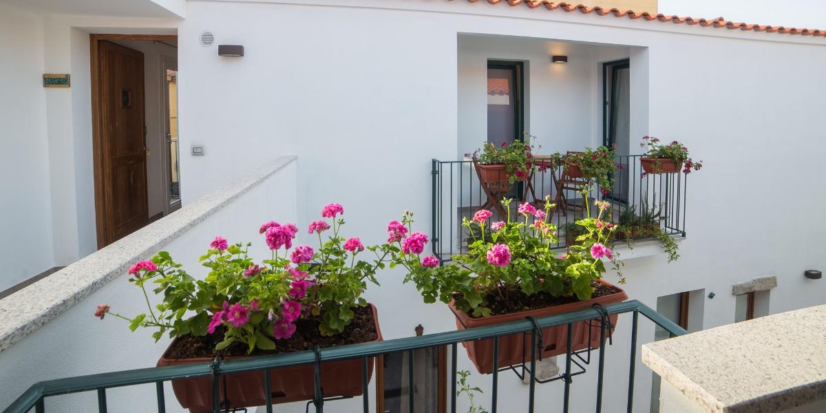 Apartments Domus Olbia #3