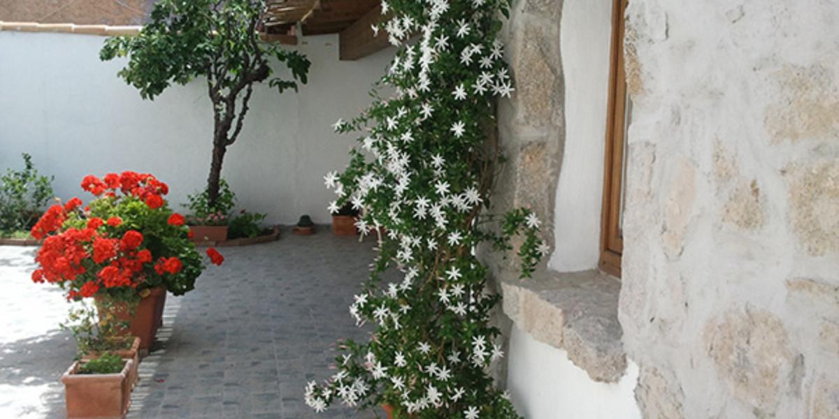 Chambre Junior Suite Domus Olbia Inn