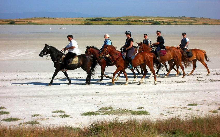Horse Country Resort Hotel Arborea - Sardegna