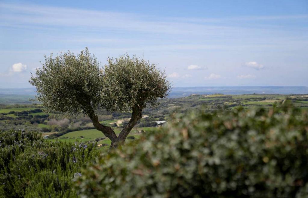 Agriturismo Is Perdas & Glamping, Gergei (SU) #3