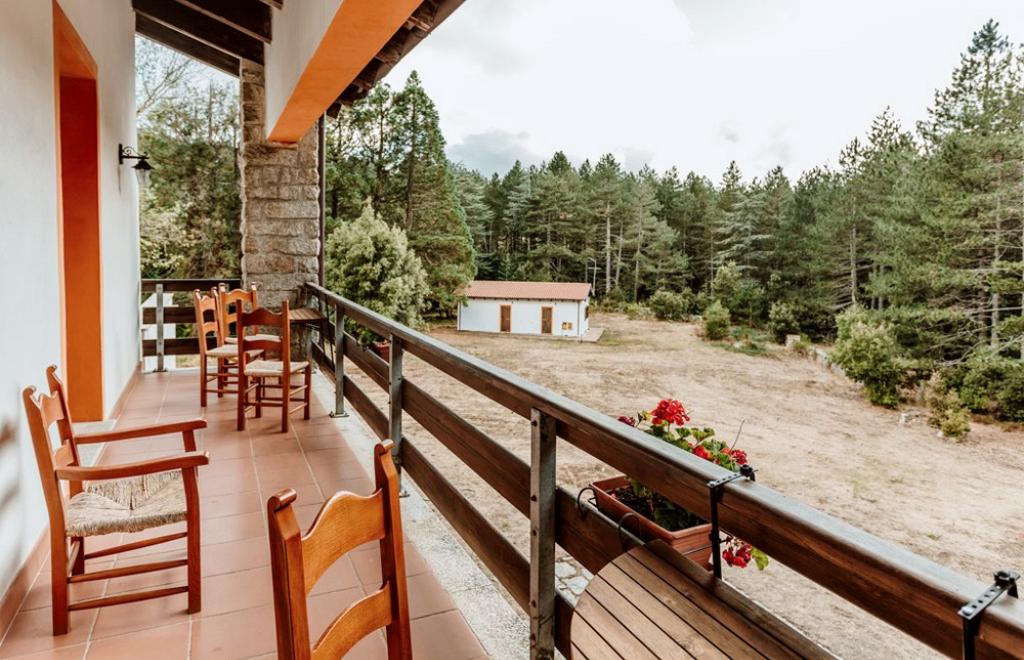 Vallicciola Monte Limbara Nature Hotel, Tempio (OT) #11
