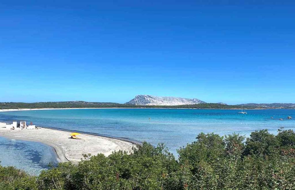 Villa Le Farfalle 2, San Teodoro (OT) #20