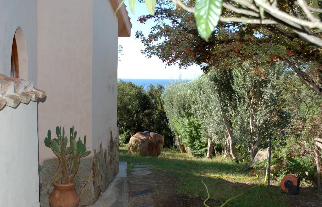 Holidays home Cicale, Villasimius (CA) #13