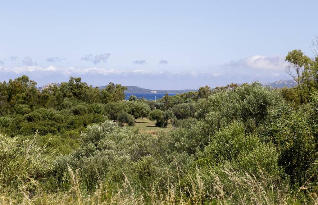 Maisons Oleandru, Cannigione (OT) #9