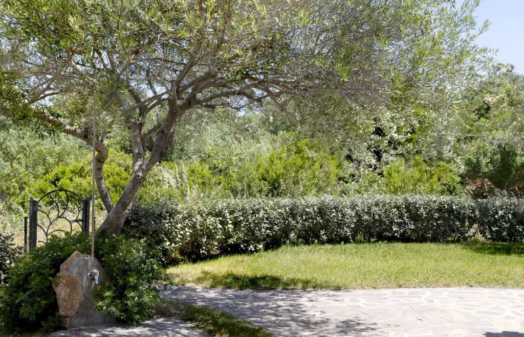Maisons Oleandru, Cannigione (OT) #18