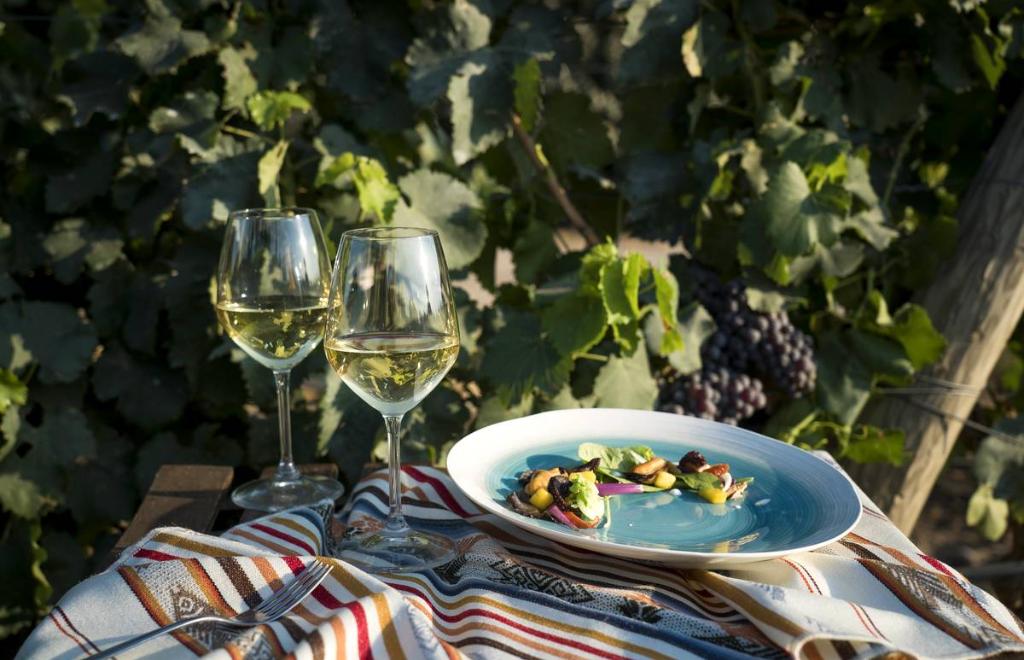 Boutique hotel & Wine Resort Is Cheas, San Vero Milis (OR) #16