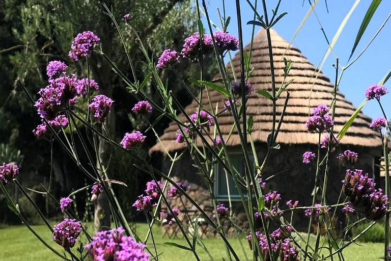 Boutique hotel & Wine Resort Is Cheas - Deluxe Suite Sa Azulu, San Vero Milis (OR)