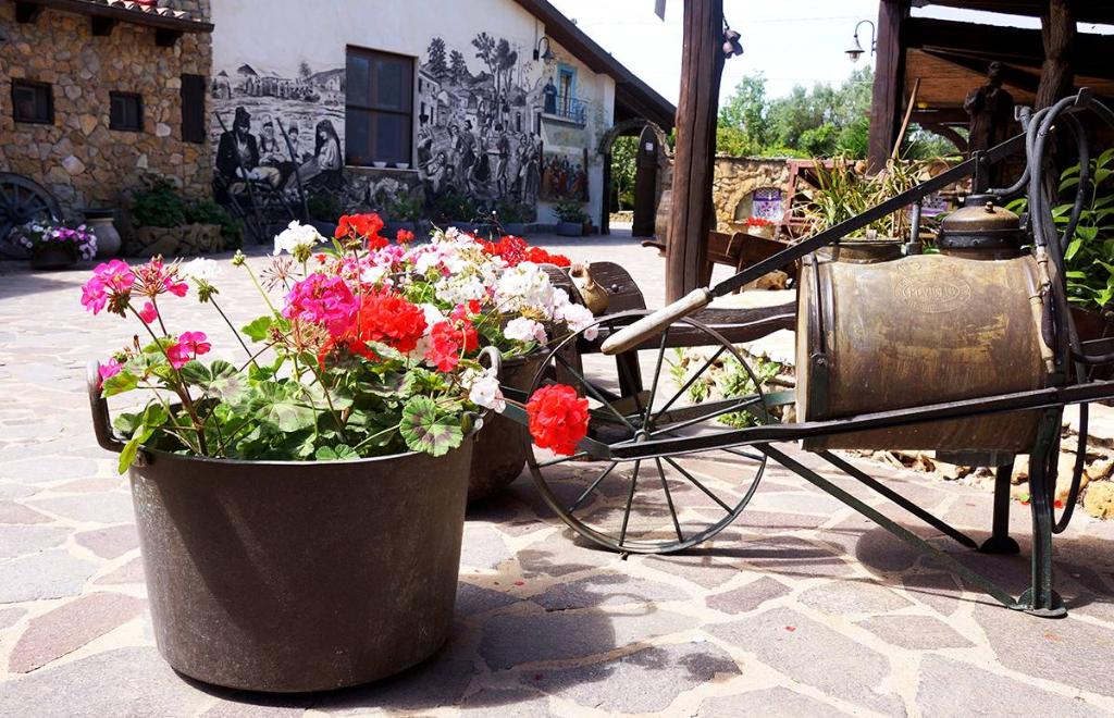 Ferme Sa Mandra, Alghero (SS) #5