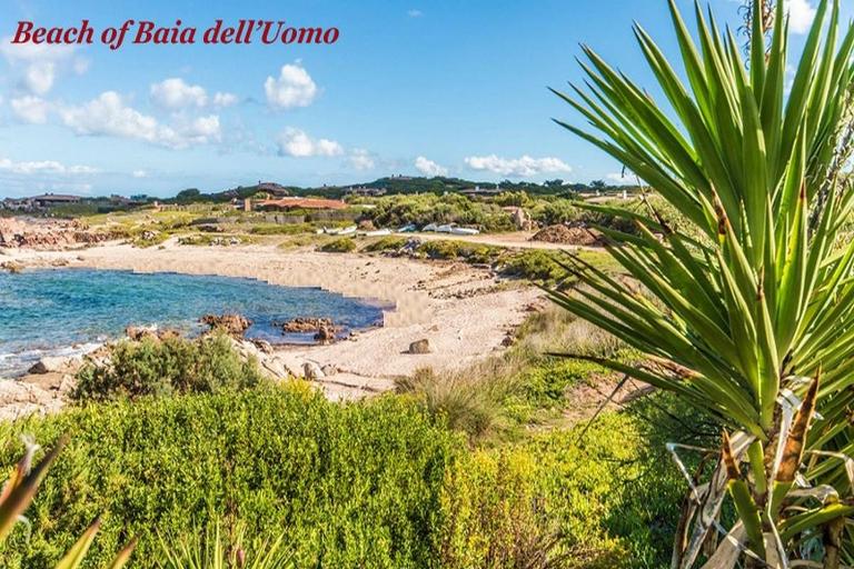 Villa Giada - Villa Giada, Portobello (OT)