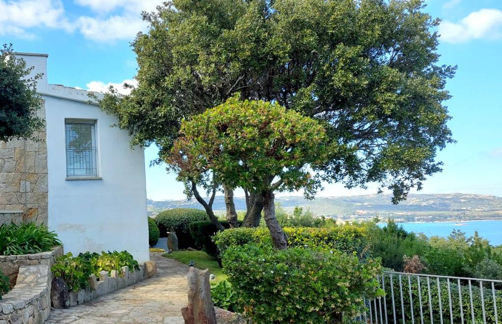 Villa Punta Cala dei Ginepri, Porto Cervo (OT) #4