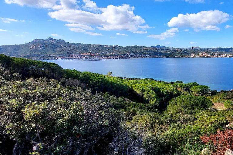 Villa Punta Cala dei Ginepri - Villa Punta Cala dei Ginepri, Porto Cervo (OT)