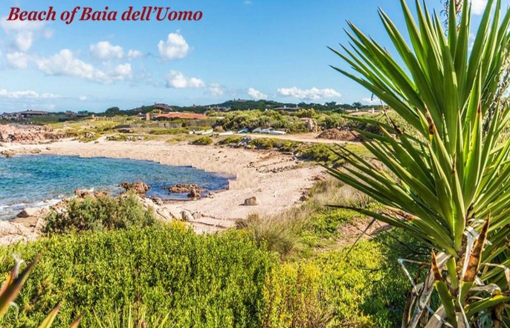 Villa Livia, Portobello (OT) #19