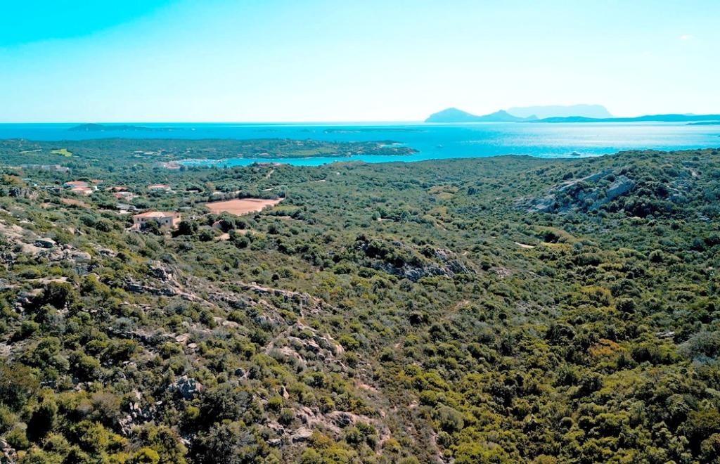 Ville Dolce Vita, Abbiadori (OT) #3