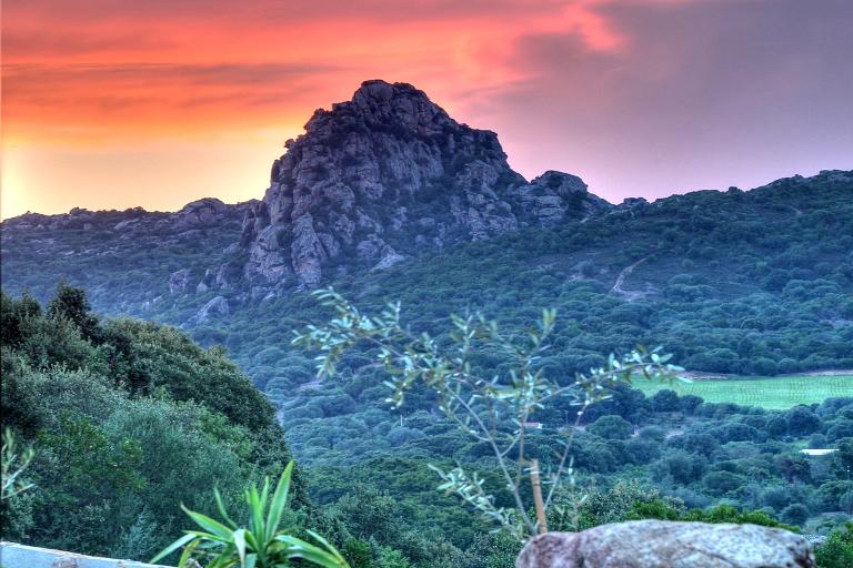 Green Park Country Lodge - Ferienwohnungen Classic, San Pantaleo (OT)