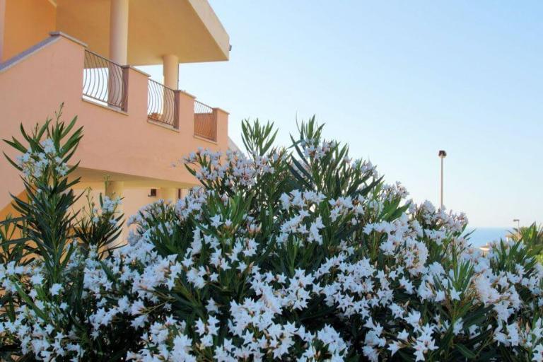 Residenza sul Mare - Appartement L Plus de 4 pièces, Valledoria (SS)