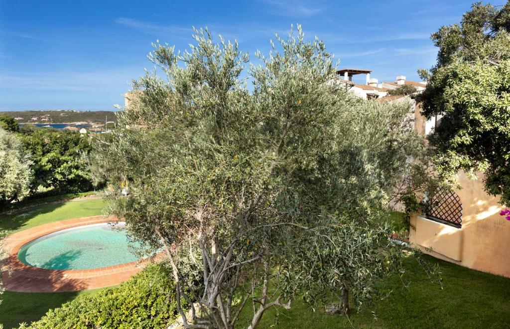Residence Giardino degli Oleandri Liscia di vacca, Porto Cervo (OT) #15