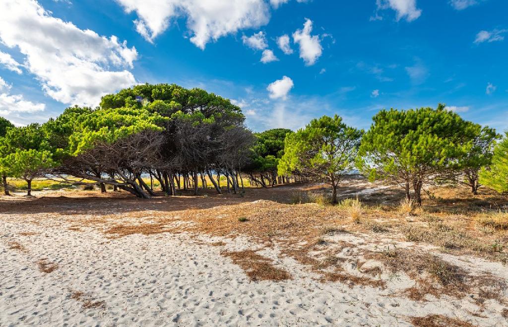 Residence Porpora, Siniscola (NU) #31