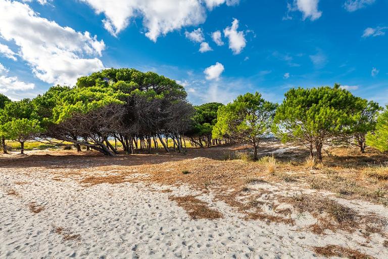 Residence Porpora - Quadrilocale, Siniscola (NU)
