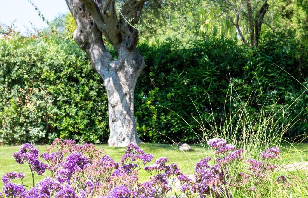 Villa Aramis, Chia (CA) #25