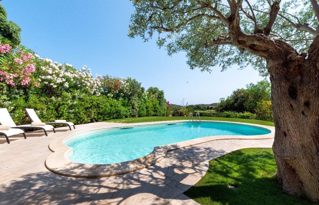 Villa Aramis, Chia (CA) #3