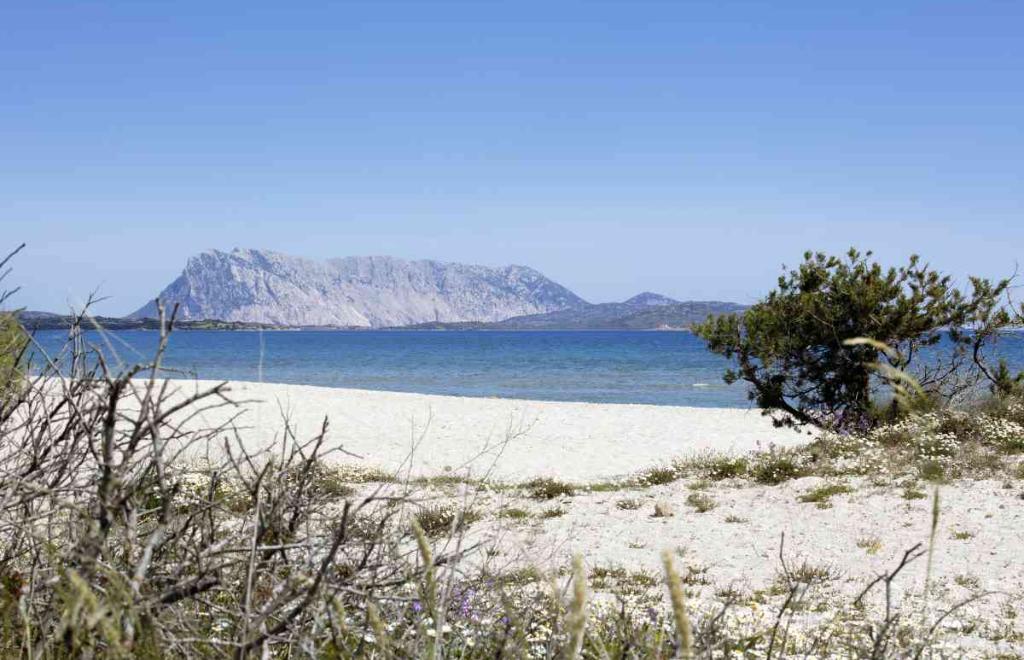 Hotel Li Suari Club Village, San Teodoro (OT) #30