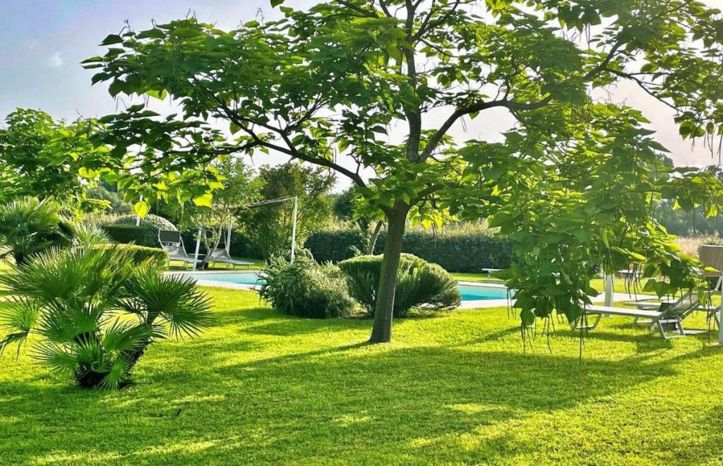Su Passu Country House, Alghero (SS) #16