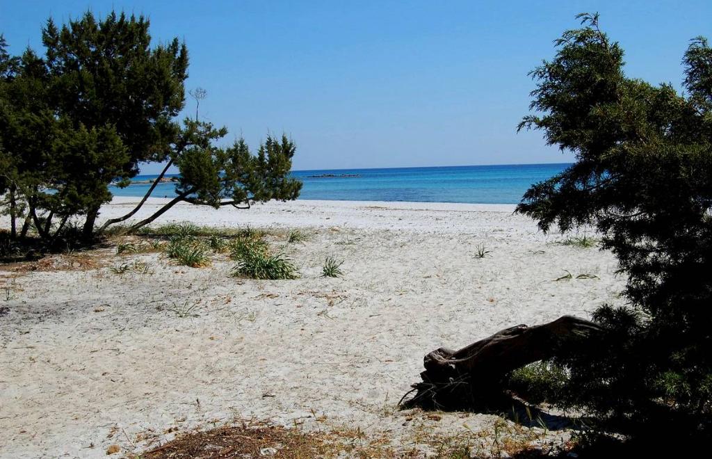 Vakantiehuis Cala Ginepro, Orosei (NU) #13