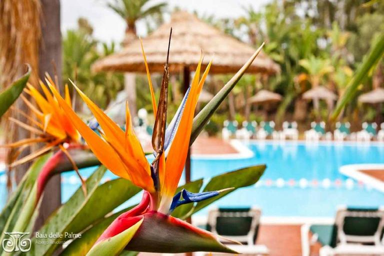 Residence Baia delle Palme - 1-bedroom Flat, Santa Margherita di Pula (CA)