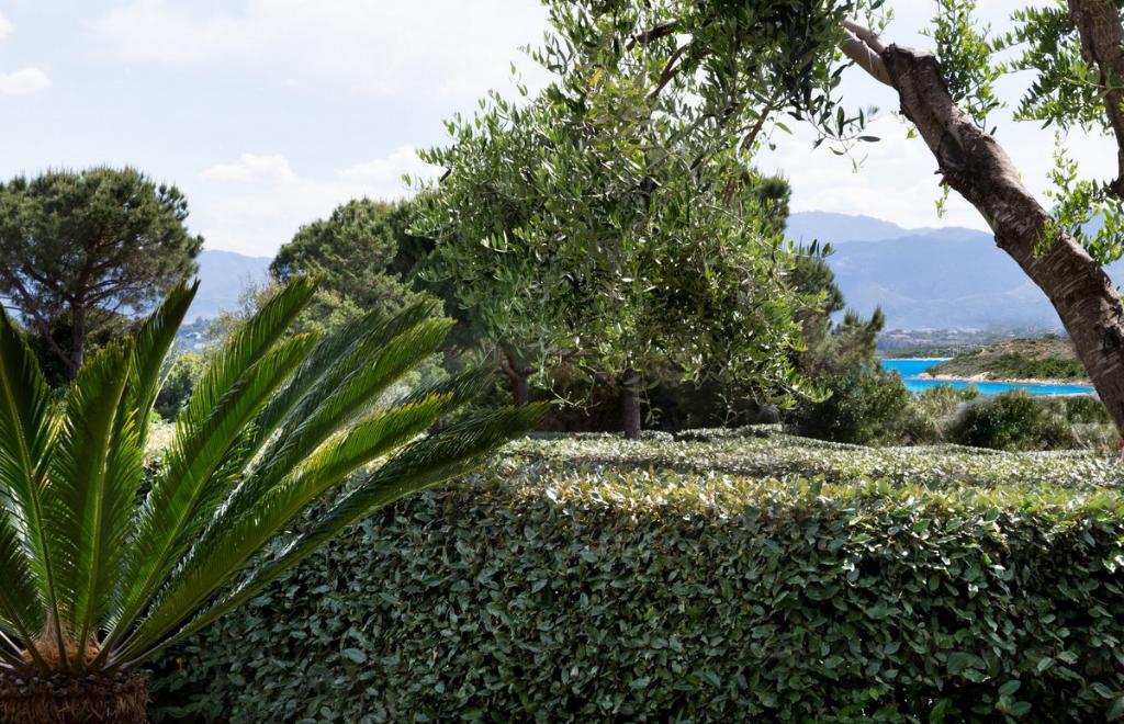 Maison Timu Due, San Teodoro (OT) #6