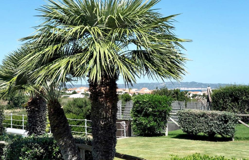 Cozy Cottage Sole, Calasetta (CI) #5