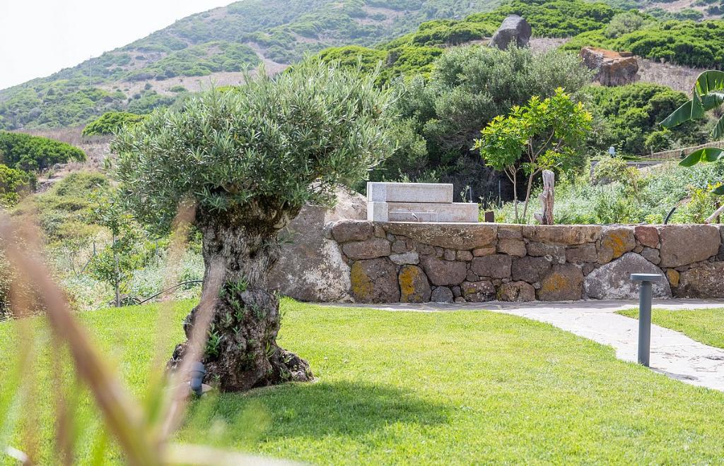 Villa Bianca sul Mare, Castelsardo (SS) #22