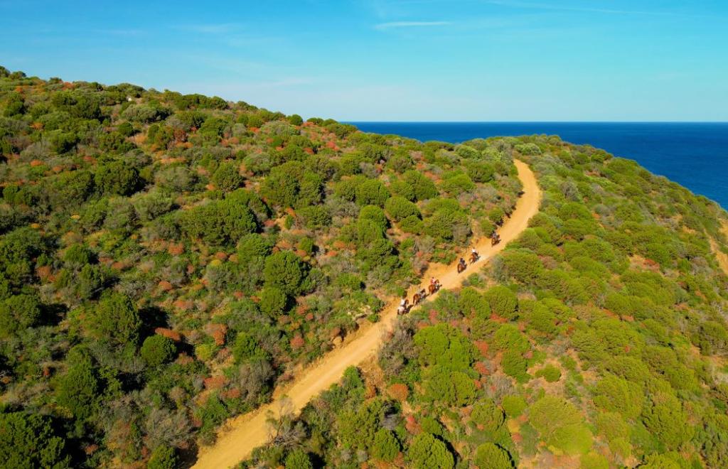 Veridia Resort, Domus de Maria (CA) #39