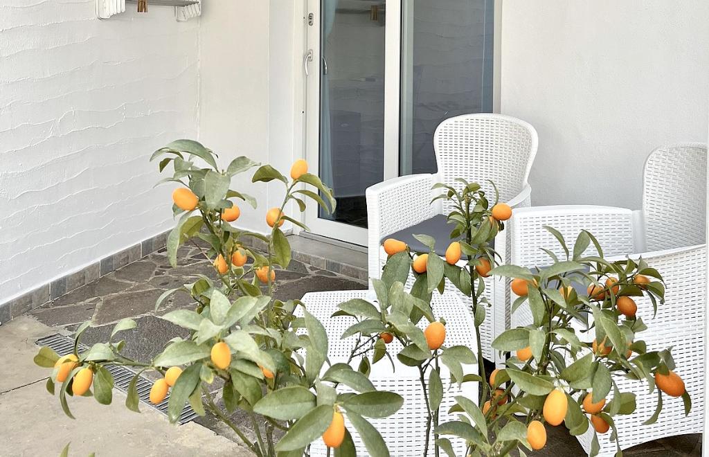 Angolo Mare Apartments & Rooms, Porto Pino (CI) #4