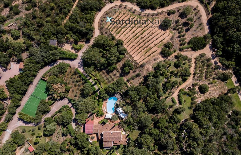 Villa Joy, San Pantaleo (OT) #4
