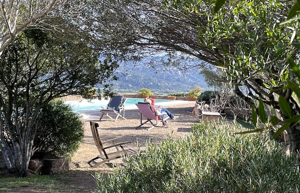 Villa Stazzu Gli Ulivi, Cannigione (OT) #6