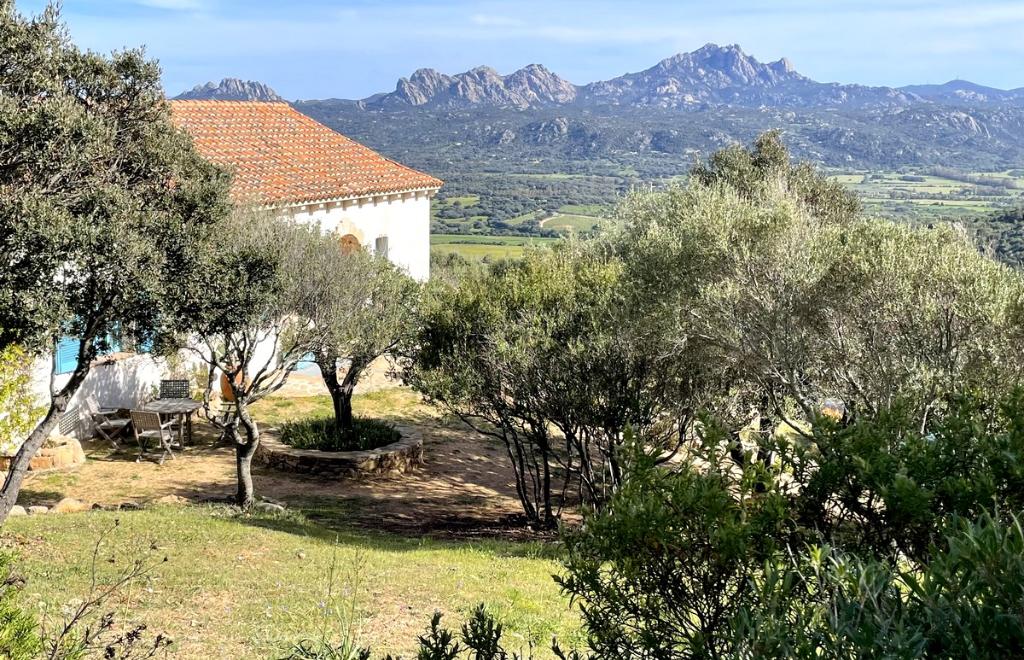 Villa Stazzu Gli Ulivi, Cannigione (OT) #26