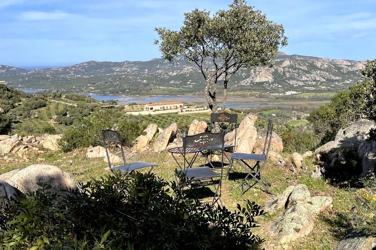 Villa Stazzu Gli Ulivi - Villa Stazzu Gli Ulivi, Cannigione (OT)