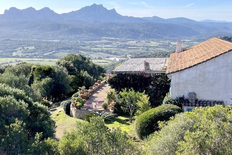 Villa Stazzu Gli Ulivi - Villa Stazzu Gli Ulivi, Cannigione (OT)