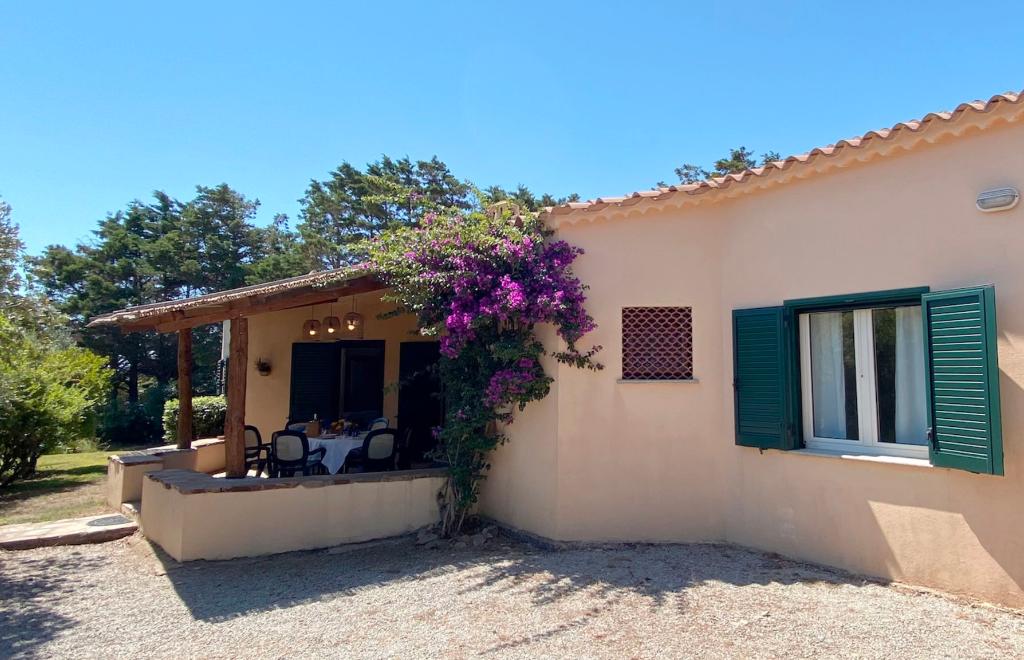 Villa degli Asfodeli, La Maddalena (OT) #25
