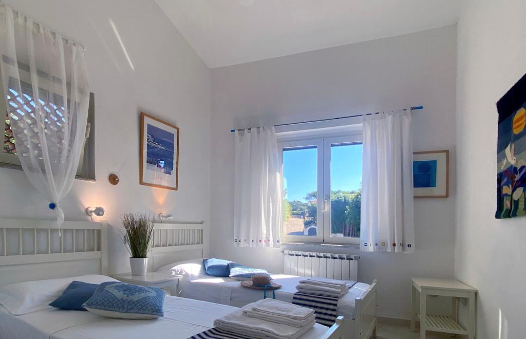 Villa degli Asfodeli, La Maddalena (OT) #18