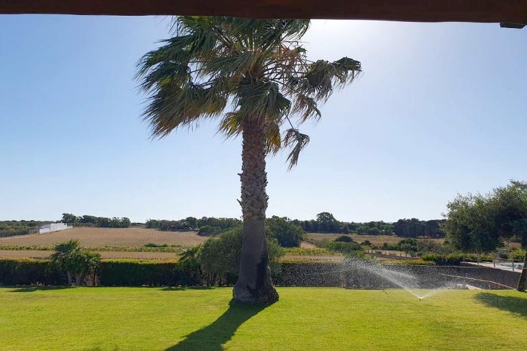 Cozy Cottage Sole - Cozy Cottage Sole 113, Calasetta (CI)