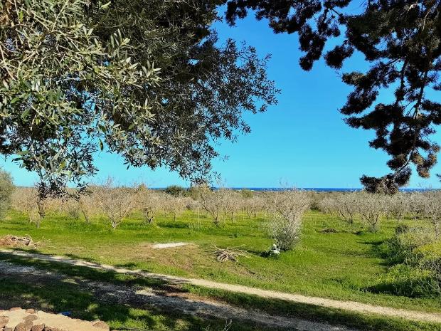 Mare Verde Lodge Maisons Orosei - Sardegna
