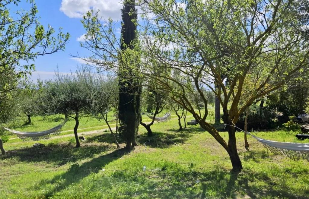 Mare Verde Rooms, Orosei (NU) #16