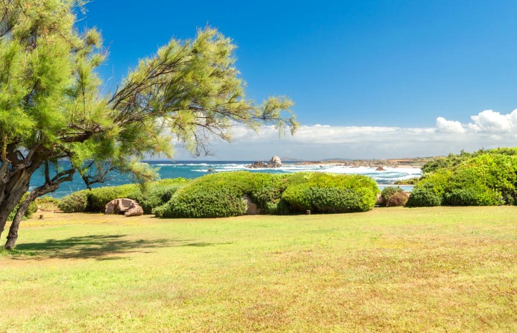 Villa Acquamarina, Portobello (OT) #10