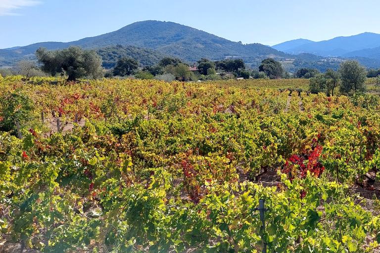 Nord Sardaigne - Nord Sardaigne, Olbia (OT)