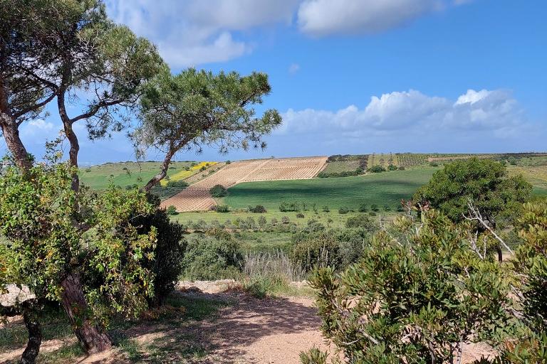 Tour à vélo du Sud-Ouest - Cabras - Pula UPGRADE, Cabras (OR)