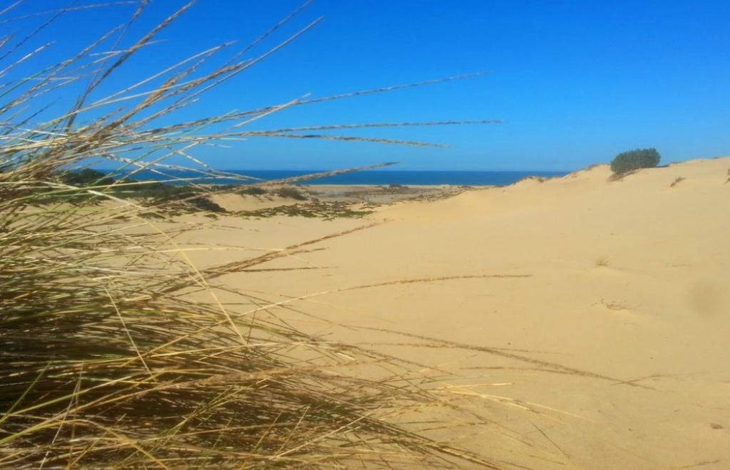 Self-Guided Trekking Tour South-Western Sardinia, Buggerru (CI) #5