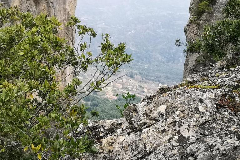 Individual Bike Tour on the East Coast of Sardinia - Bike Tour Ogliastra, Arbatax (OG)