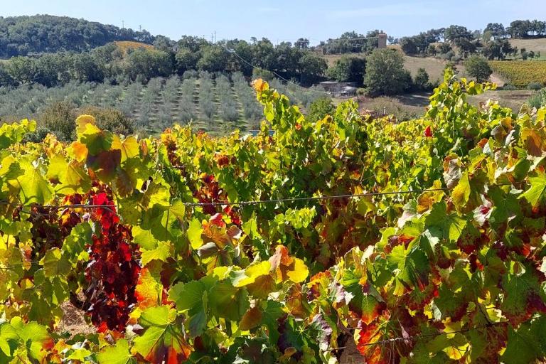 Rundreise Sardinien: 8 Tage zwischen Tradition, Natur und Genuß - Rundreise Nordosten 8 Tage, Olbia (OT)