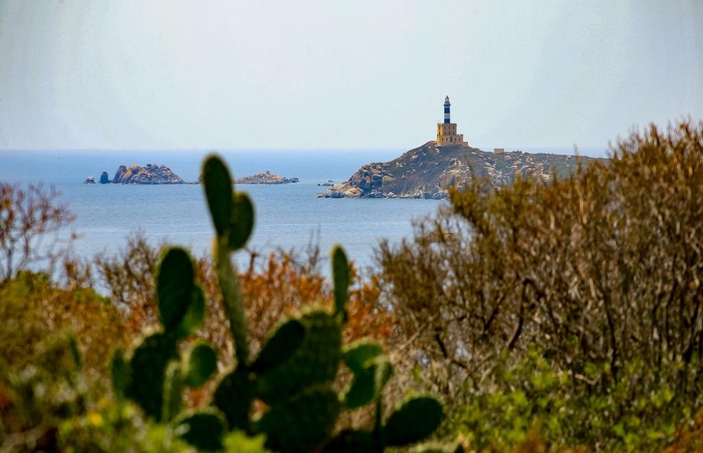Rundreise Südwesten: von Dünen und stillgelegte Bergwerken, Cagliari (CA) #1